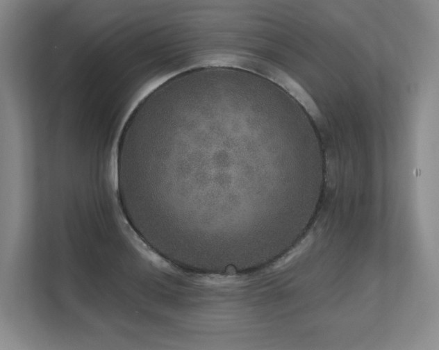 X0000111641036200907171543