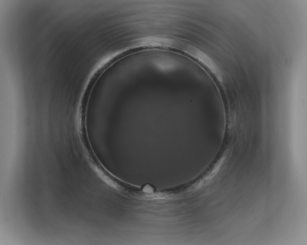 X0000111641037200907171543