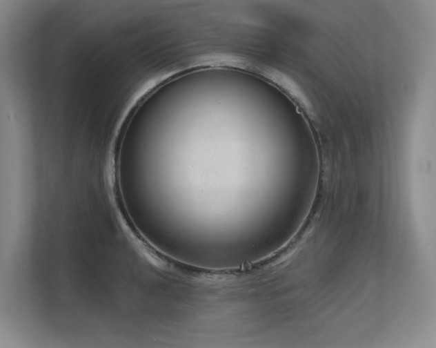 X0000111641040200907171543