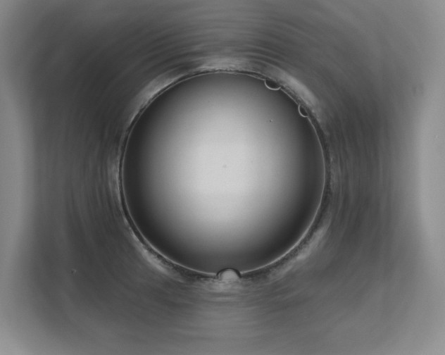 X0000111641041200907171543