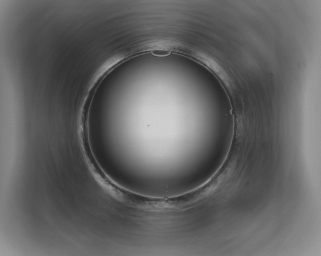 X0000111641042200907171543
