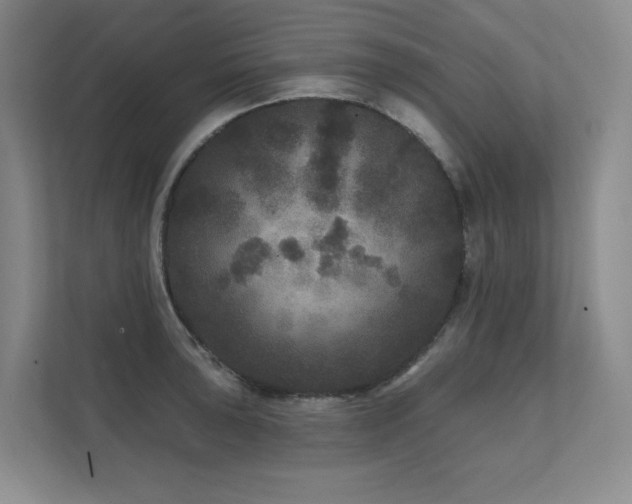 X0000111641043200907171543