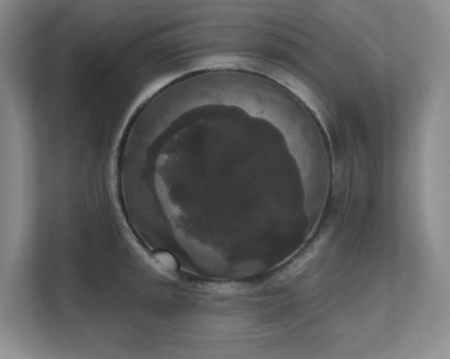 X0000111641045200907171543