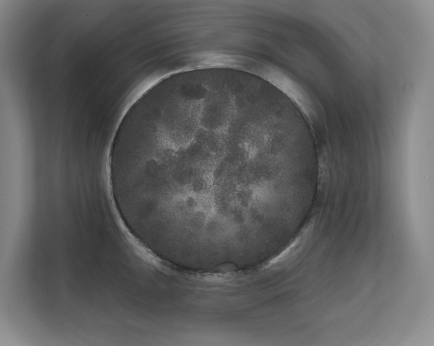 X0000111641047200907171543