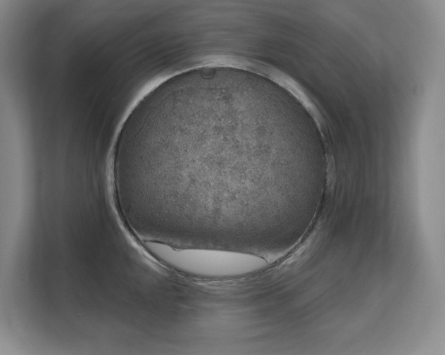 X0000111641048200907171543