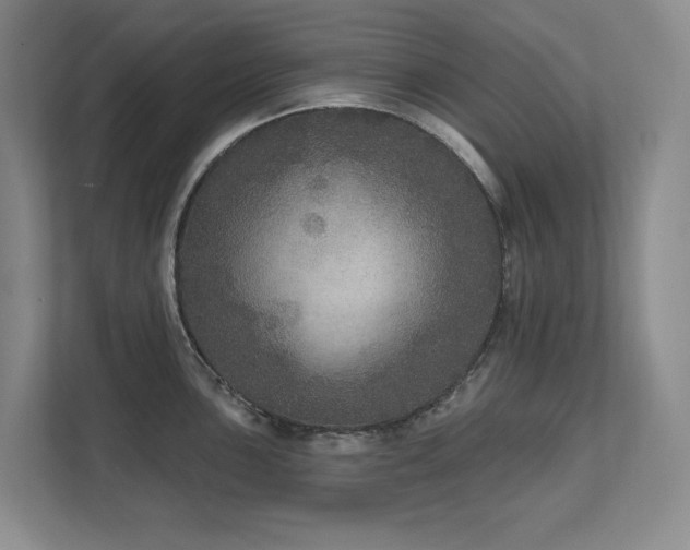 X0000111641051200907171543