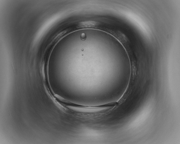 X0000111641054200907171543