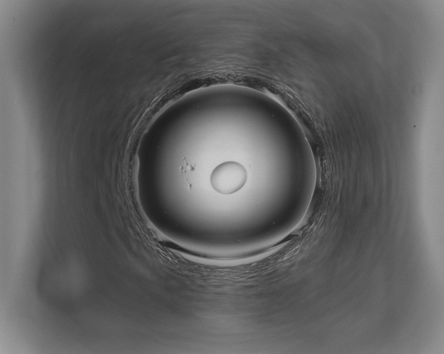X0000111641057200907171542