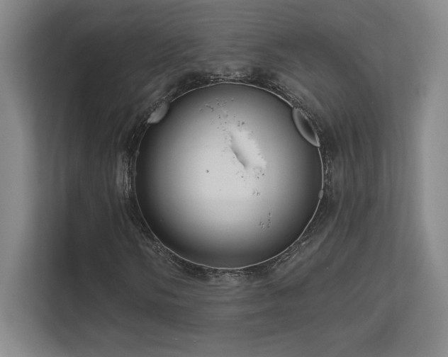 X0000111641058200907171542