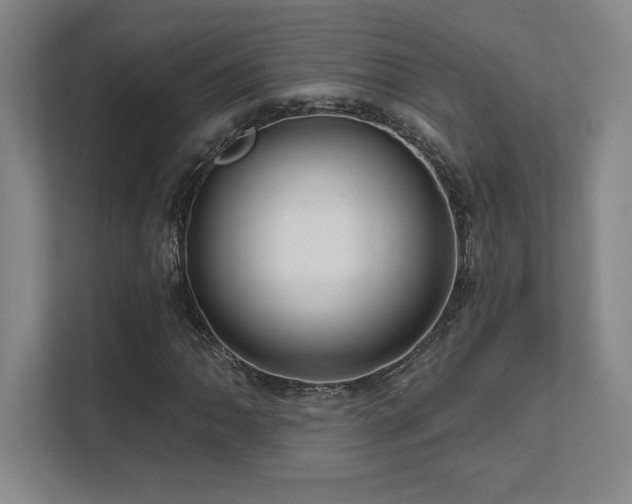 X0000111641062200907171542