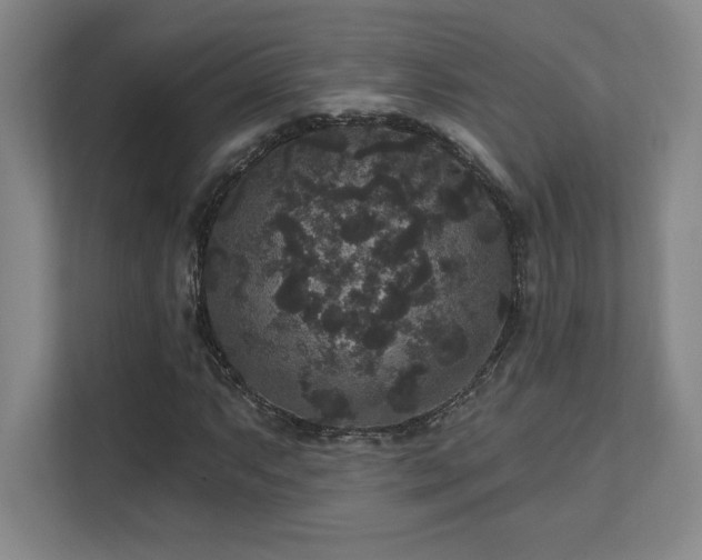 X0000111641063200907171542