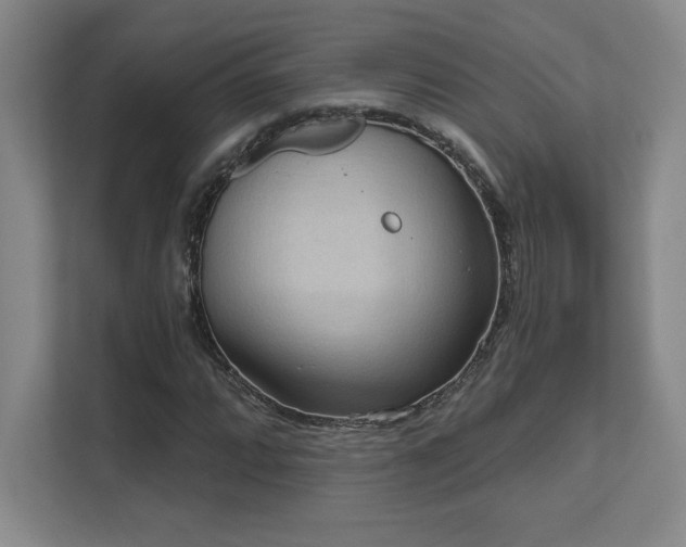 X0000111641064200907171542