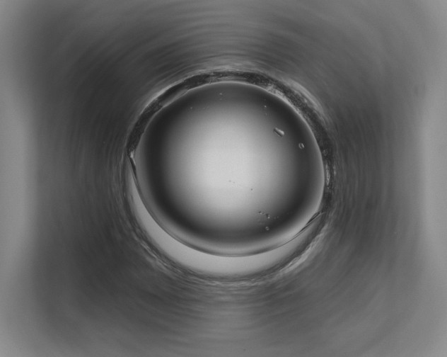 X0000111641065200907171542
