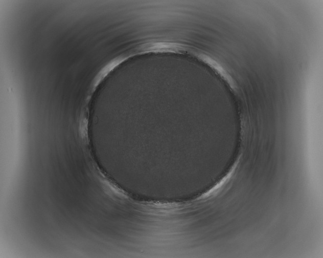 X0000111641066200907171542