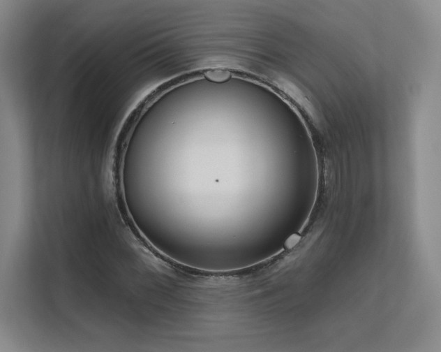 X0000111641068200907171542