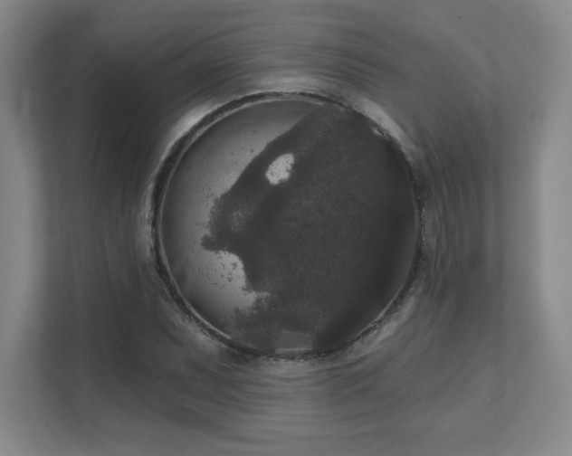 X0000111641071200907171542