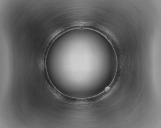 X0000111641073200907171542