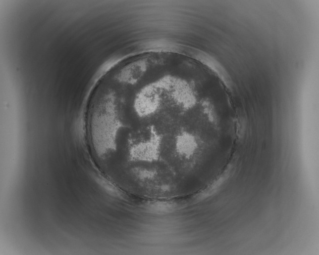 X0000111641074200907171542