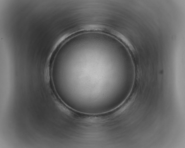 X0000111641075200907171542