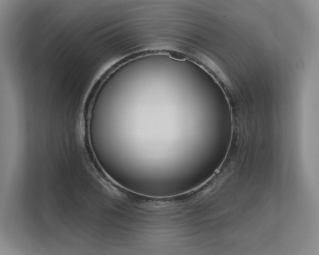 X0000111641076200907171542