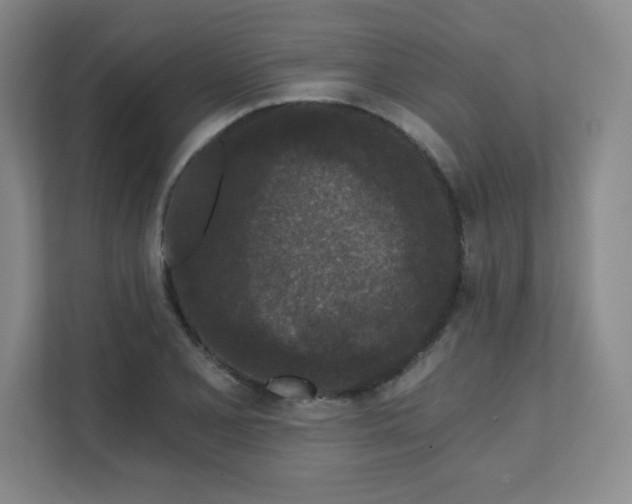 X0000111641077200907171542