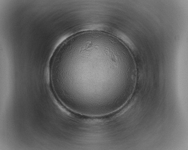 X0000111641079200907171542