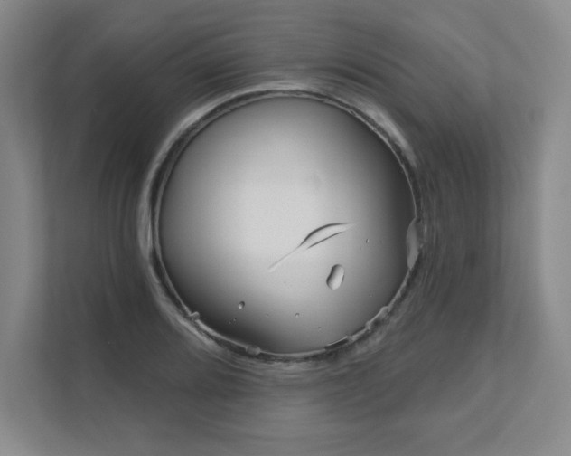 X0000111641080200907171542