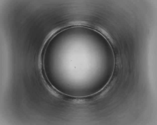 X0000111641082200907171542