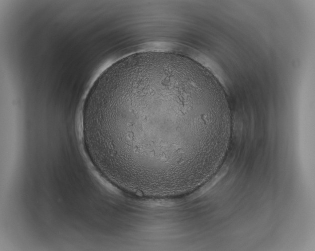 X0000111641083200907171542