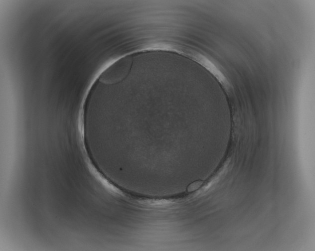 X0000111641084200907171542