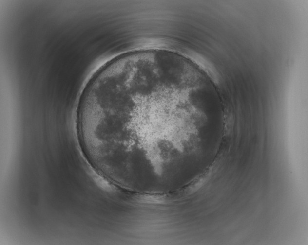 X0000111641086200907171542