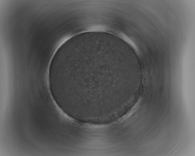 X0000111641087200907171542