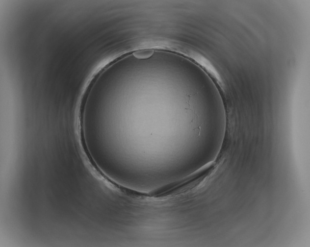 X0000111641088200907171542
