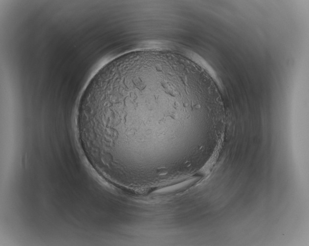 X0000111641091200907171542