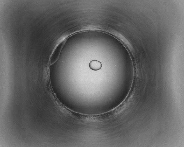 X0000111641097200907171542