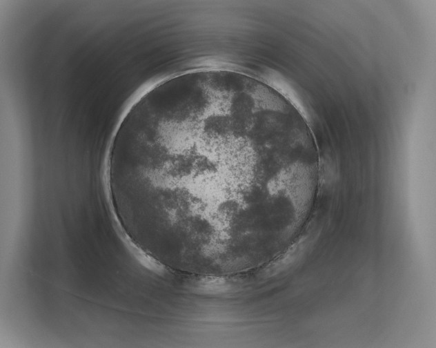 X0000111641098200907171542