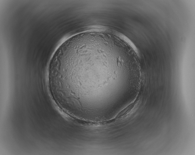 X0000111641099200907171542