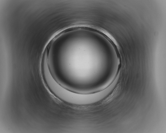 X0000111641101200907171542