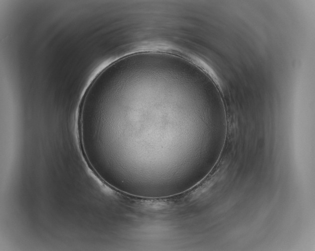X0000111641103200907171542
