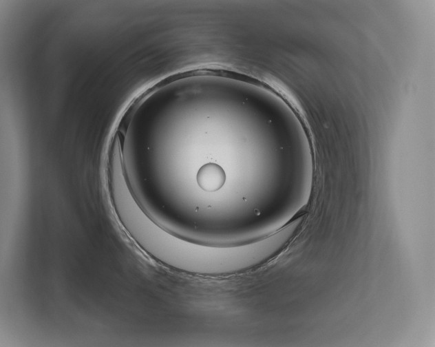X0000111641104200907171542