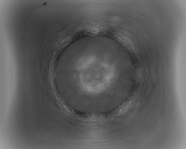 X0000111641105200907171541