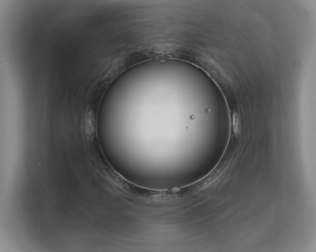 X0000111641107200907171541
