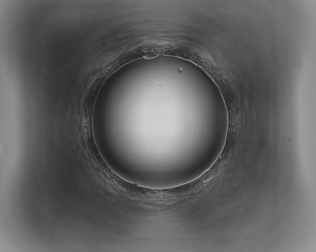 X0000111641109200907171541