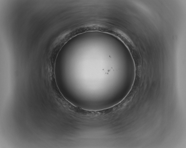 X0000111641111200907171541
