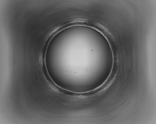 X0000111641113200907171541