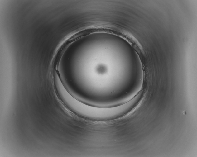 X0000111641114200907171541