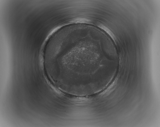 X0000111641115200907171541