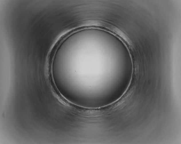 X0000111641116200907171541
