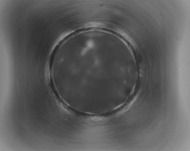 X0000111641117200907171541