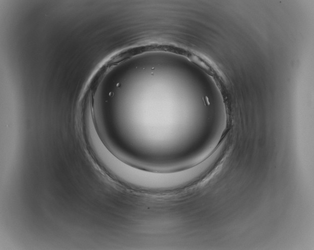 X0000111641118200907171541